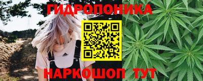 гидра Абинск
