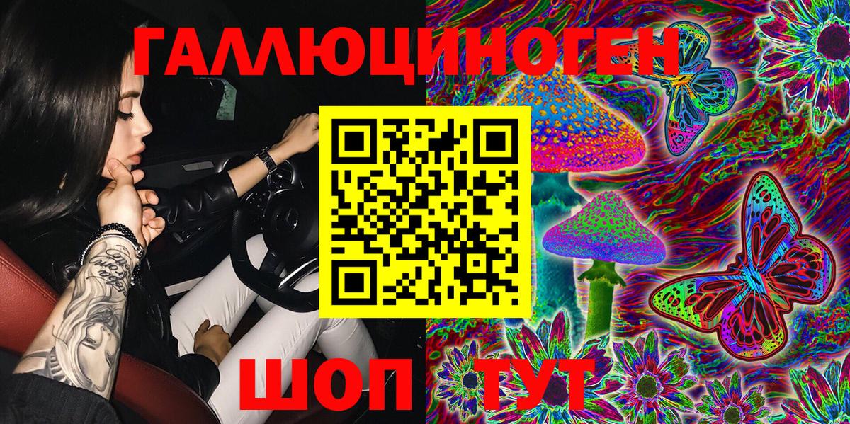 Галлюциногенные грибы Psilocybe Балахна
