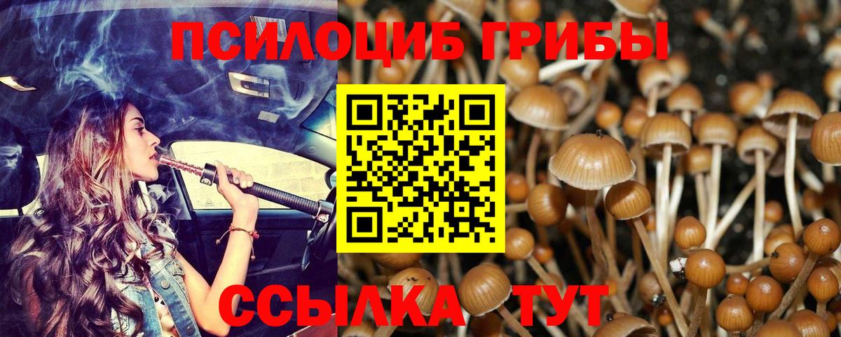 Балахна  Галлюциногенные грибы мухоморы  Галлюциногенные грибы MAGIC MUSHROOMS  Вход с VPN 