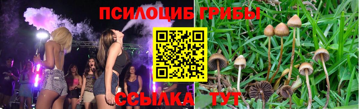 Галлюциногенные грибы мухоморы  Вход с VPN  Балахна 