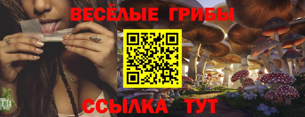 Псилоцибиновые грибы Psilocybe Балахна