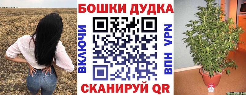 Канабис OG Kush Балахна